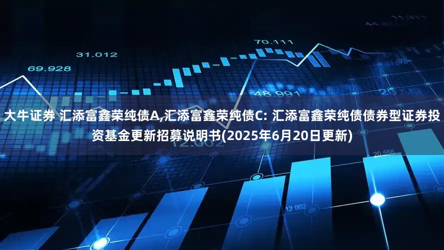 大牛证券 汇添富鑫荣纯债A,汇添富鑫荣纯债C: 汇添富鑫荣纯债债券型证券投资基金更新招募说明书(2025年6月20日更新)
