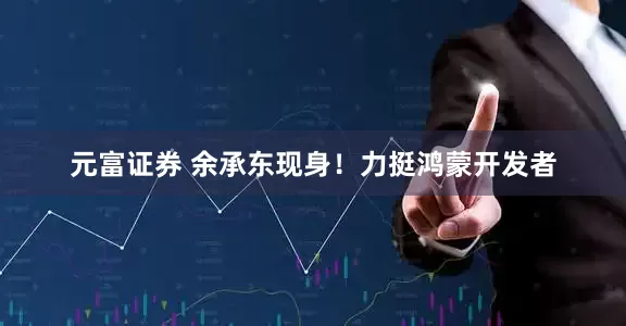 元富证券 余承东现身！力挺鸿蒙开发者