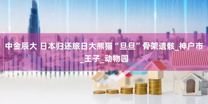 中金辰大 日本归还旅日大熊猫“旦旦”骨架遗骸_神户市_王子_动物园