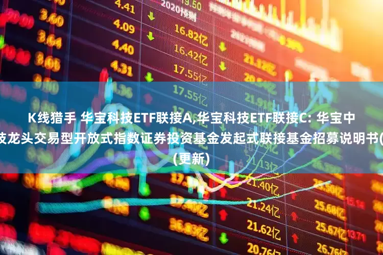 K线猎手 华宝科技ETF联接A,华宝科技ETF联接C: 华宝中证科技龙头交易型开放式指数证券投资基金发起式联接基金招募说明书(更新)