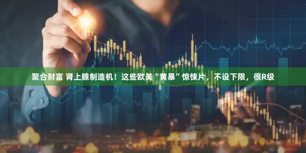 聚合财富 肾上腺制造机！这些欧美“黄暴”惊悚片，不设下限，很R级