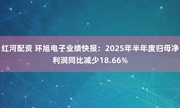红河配资 环旭电子业绩快报：2025年半年度归母净利润同比减少18.66%
