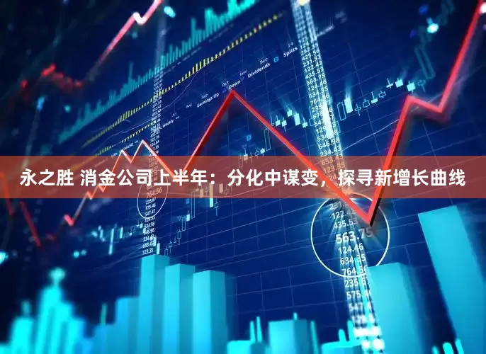 永之胜 消金公司上半年：分化中谋变，探寻新增长曲线